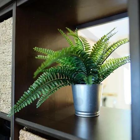 El Rincon De - Precioso Apartamento. Luanco